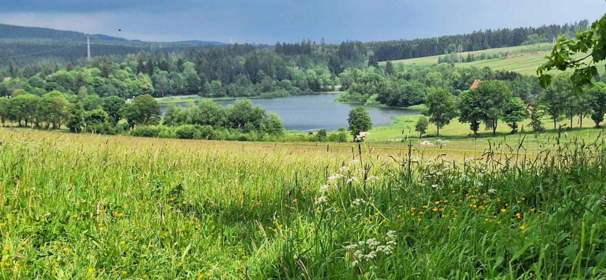 Mai-Ferienhaus-Harz 210Qm Clausthal-Zellerfeld Zewnętrze zdjęcie